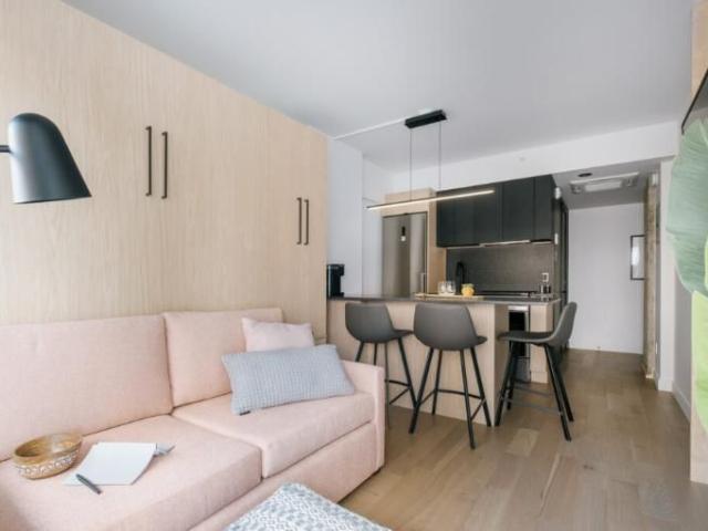 Loft entièrement meublé à louer Saint Jean Baptiste août 2026