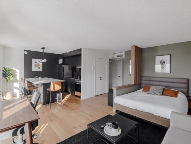 Loft entièrement meublé à louer Saint Jean Baptiste juillet 2026