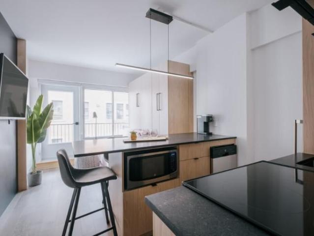 Loft entièrement meublé à louer Saint Jean Baptiste juillet 2026