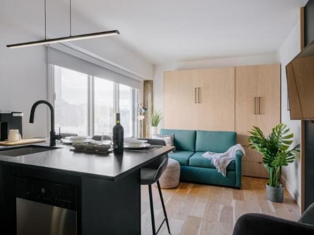 Loft entièrement meublé à louer Saint Jean Baptiste juillet 2026