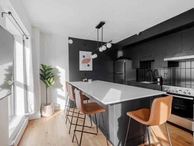 Loft entièrement meublé à louer Saint Jean Baptiste juillet 2026
