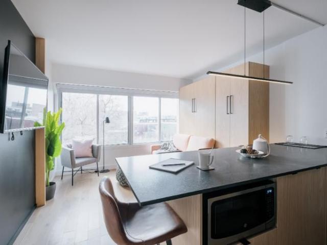 Loft entièrement meublé à louer Saint Jean Baptiste septembre 2026