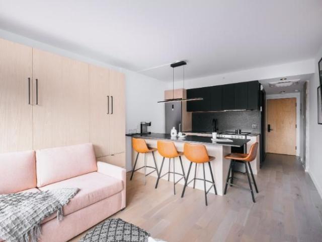 Loft entièrement meublé à louer Saint Jean Baptiste septembre 2026
