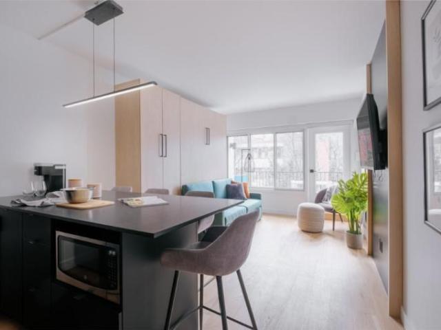 Loft entièrement meublé à louer Saint Jean Baptiste septembre 2026