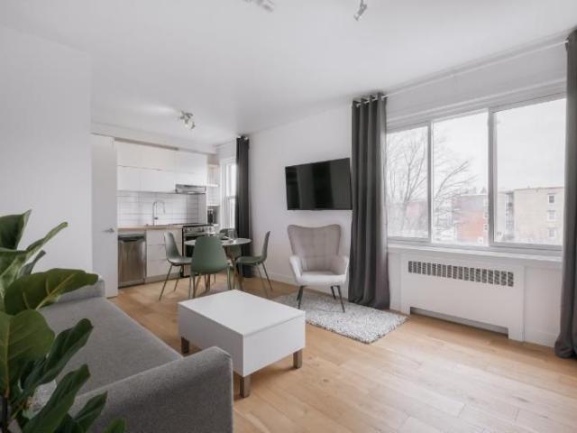 Loft entièrement meublé à louer Sainte Foy / Sillery juillet 2026