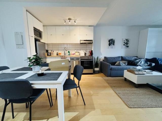 Loft entièrement meublé à louer Sainte Foy / Sillery juillet 2026