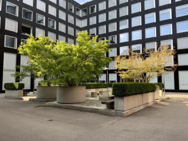 Loft für Wohnen und Arbeiten