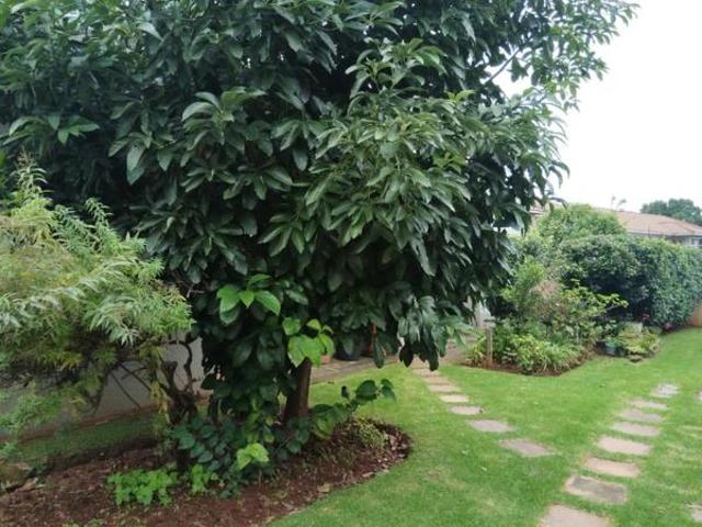 Loft in Weltevreden Park