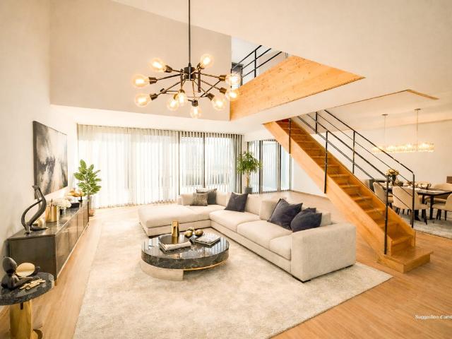 Loft Penthouse et son Rooftop à 360°, à la frontière en France