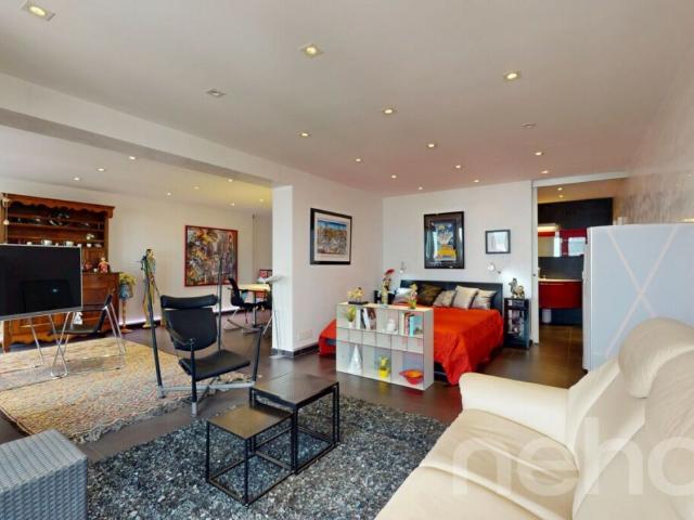 Loft rénové plein centre Champéry, vue panoramique