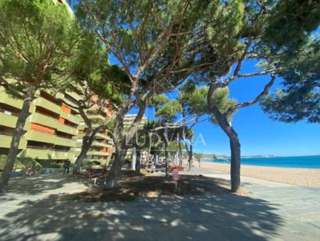 Loft Venta Castell d'Aro, Platja d'Aro i s'Agaró, Castell d'Aro, Platja d'Aro i s'Agaró
