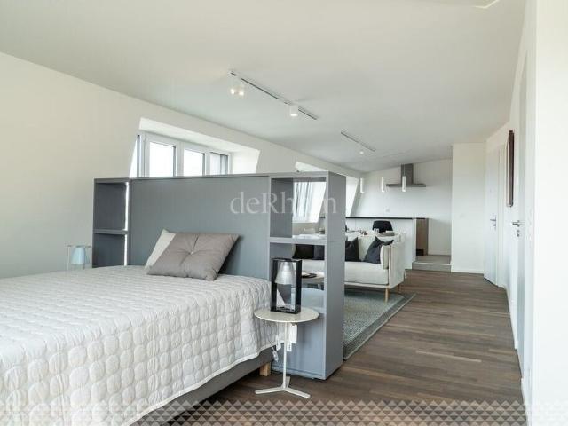 Loft with 1 room for rent in Lausanne 50 m²