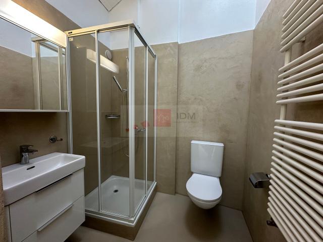 Loft with 2.5 rooms for rent in Grand Rue 24 76 m² | dreamo. Ch