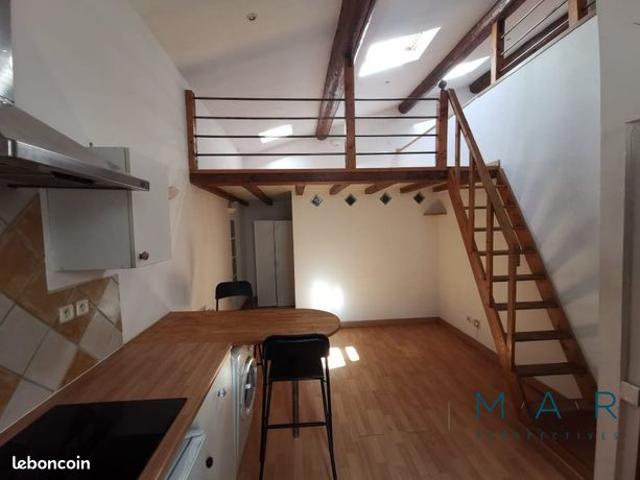 Loft 1 pièce 23 m²
