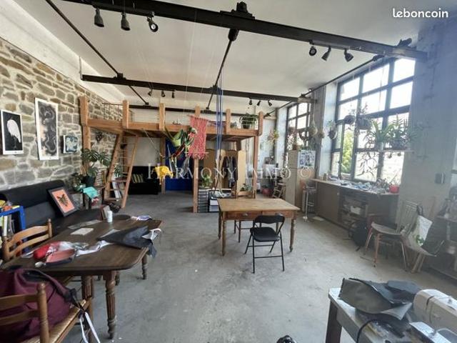 Loft 1 pièce 48 m²
