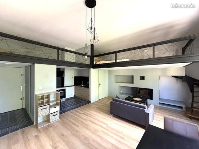 Loft 1 pièce 64 m²