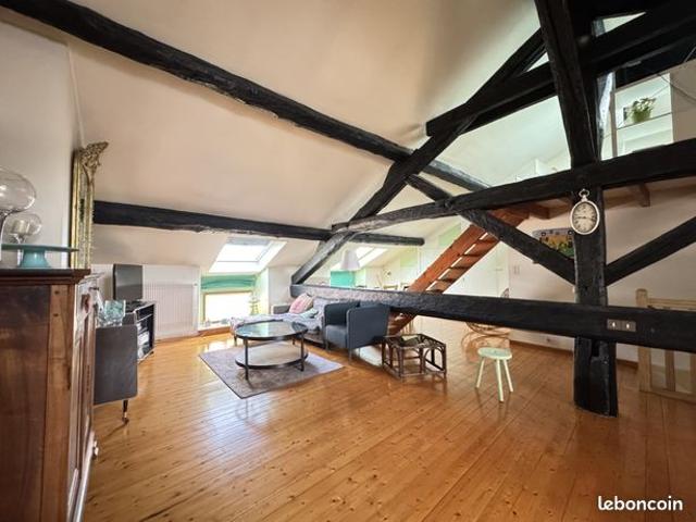 Loft 1 pièce 74 m²