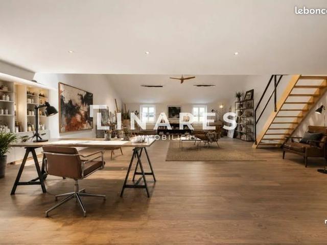 Loft 2 pièces 115 m²