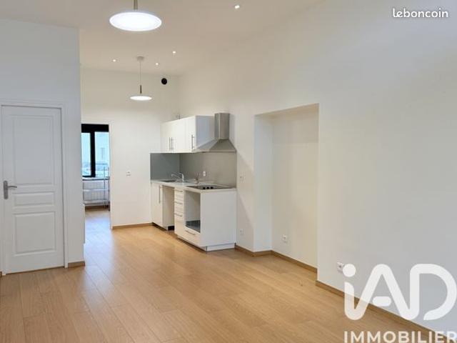 Loft 2 pièces 44 m²