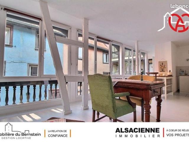 Loft 2 pièces 47 m²