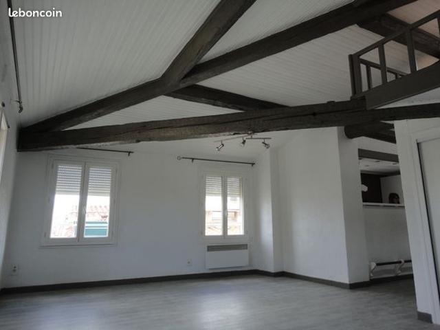 Loft 2 pièces 48 m²