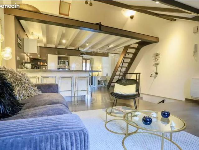 Loft 2 pièces 40 m²