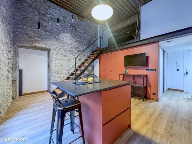 Loft 2 pièces 55 m²