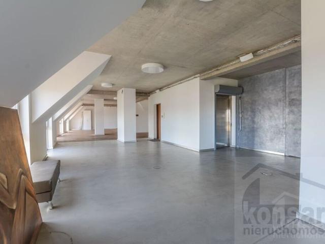 Loft 308 m² z widokiem na Odrę
