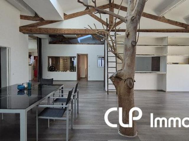 Loft 5 pièces 255 m²
