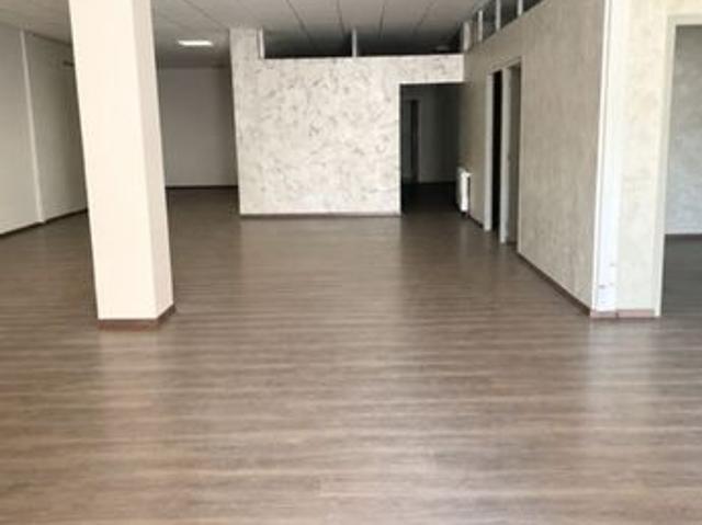 Loft/atelier/surface 7 pièces 460 m²