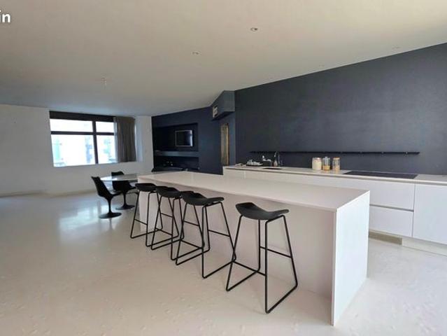 Loft/atelier/surface 4 pièces 166 m²