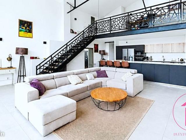 Loft/atelier/surface 4 pièces 176 m²