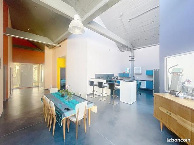 Loft/atelier/surface 4 pièces 219 m²