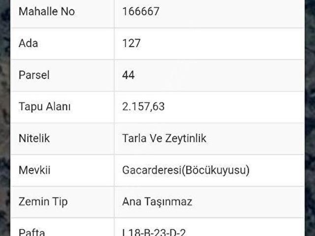 Lofttan Uygun Fiyatlı Torbalı Bozköyde 255 Metrekare Satılık