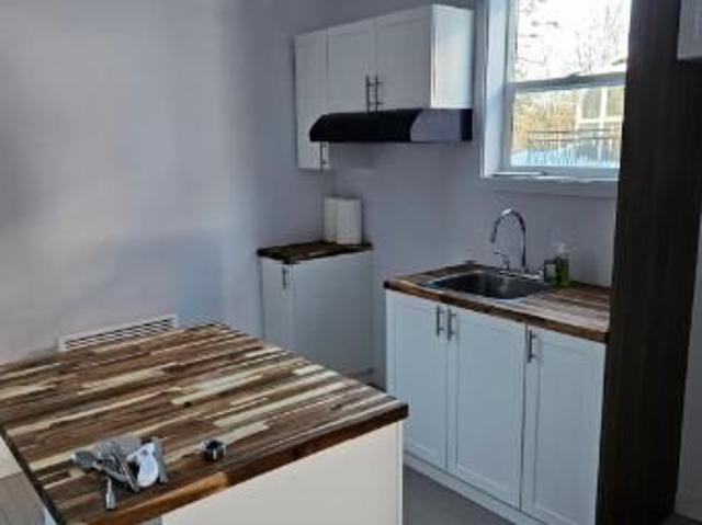 Logement 4 et Demi Rénové grand mère 7 e avenue