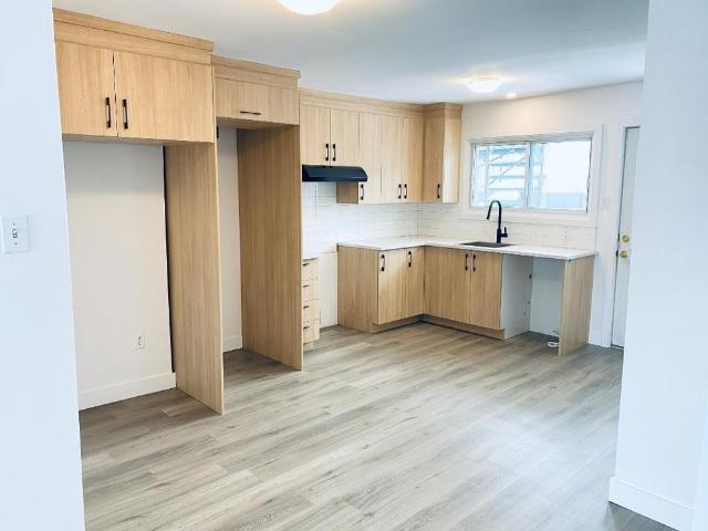 Logement 4.5 Sainte Rosé rénové, tranquille