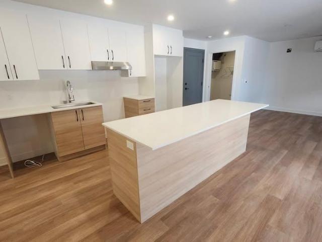 Logement 5 1/2 au 69 Chemin du Fleuve pointe des cascades