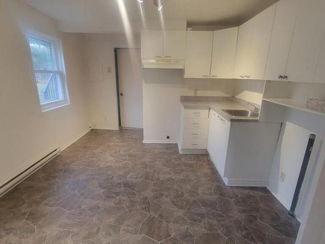 Logement 3 ½ A Sainte Agathe Des Monts