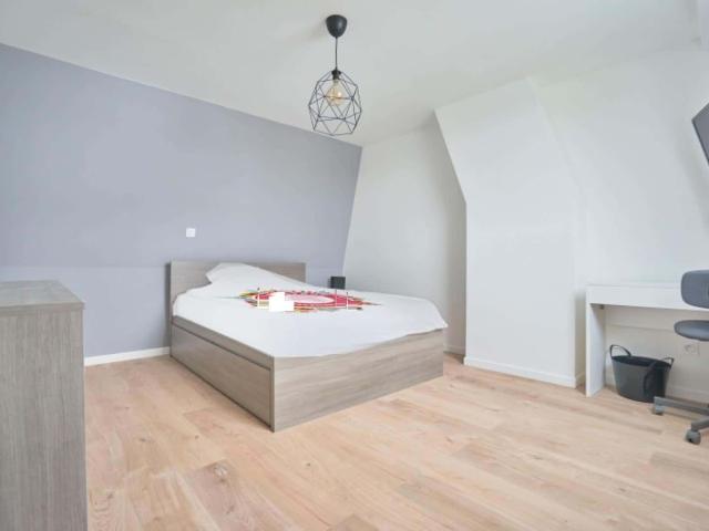 logement 3 SALEMBIER