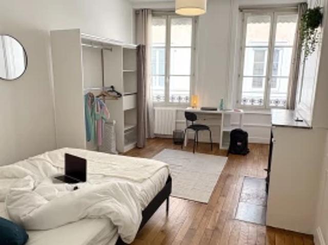 logement à louer en location Lyon 69001