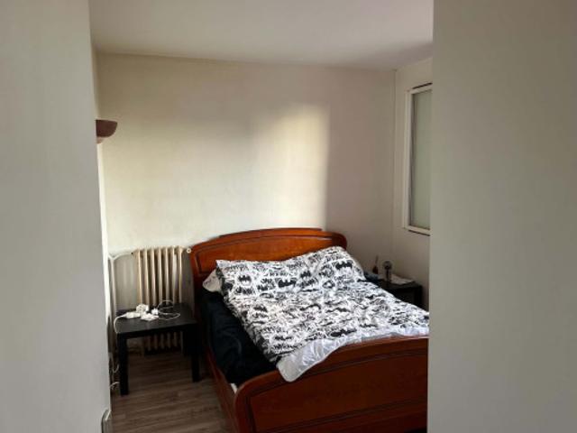 logement en petite location pet friendly