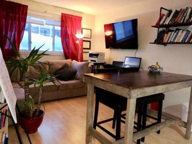 Logement loft centre ville Victoriaville 2 et demi, 1 et demi