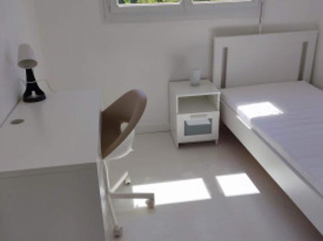 logement meublée