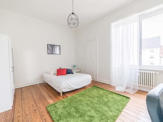 logement spacieuse et chaleureuse 19m² ST49