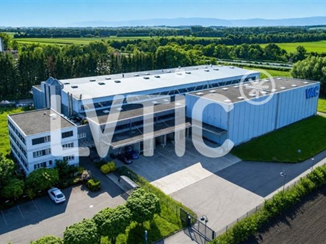 Logistikhalle und Büros von 7200 m2, teilbar, zu vermieten in Avenches