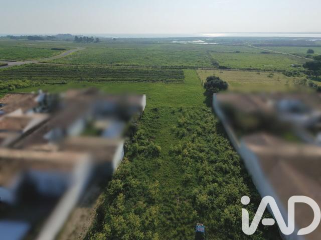 Loix Vente Terrain 17