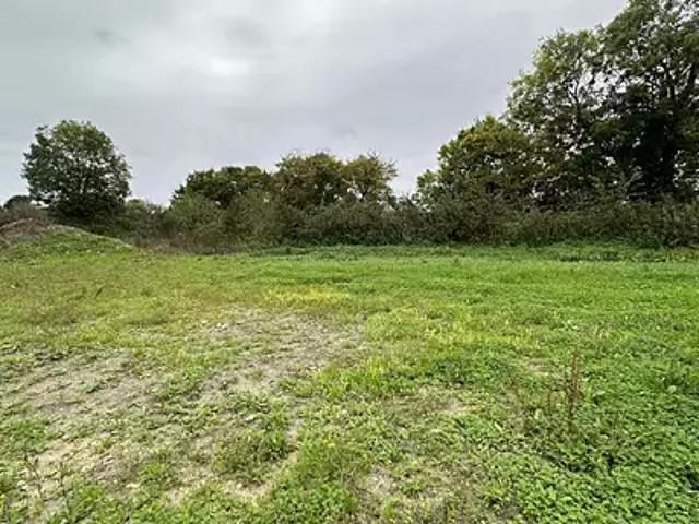 Loire les Marais 17870 Achat / Vente terrain