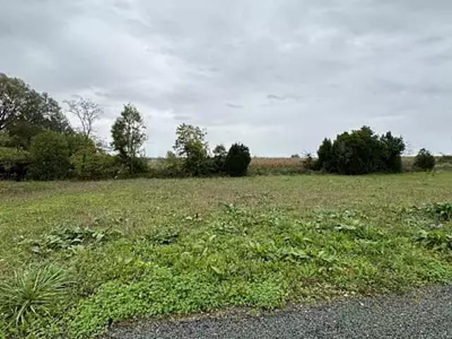 Loire les Marais 17870 Achat / Vente terrain