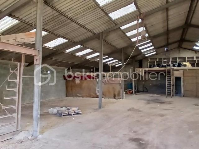Loiré sur Nie Vente Parking / Garage 17