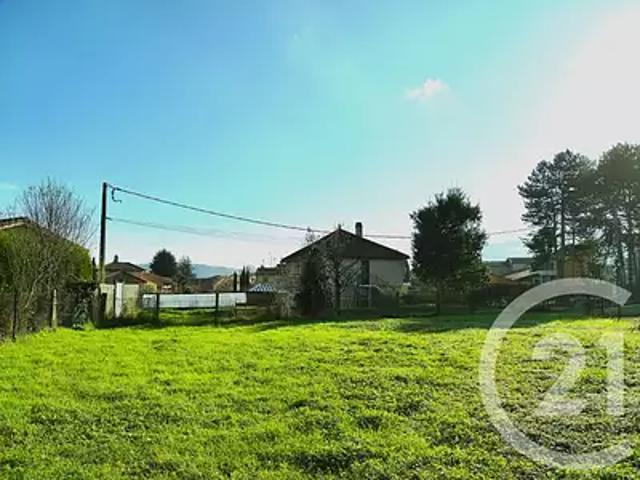 Loire sur Rhône 69700 Achat / Vente terrain